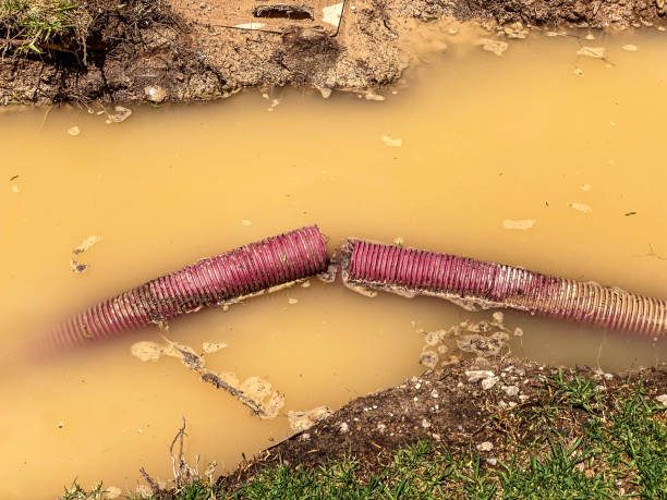 Residential Water Damage Restoration